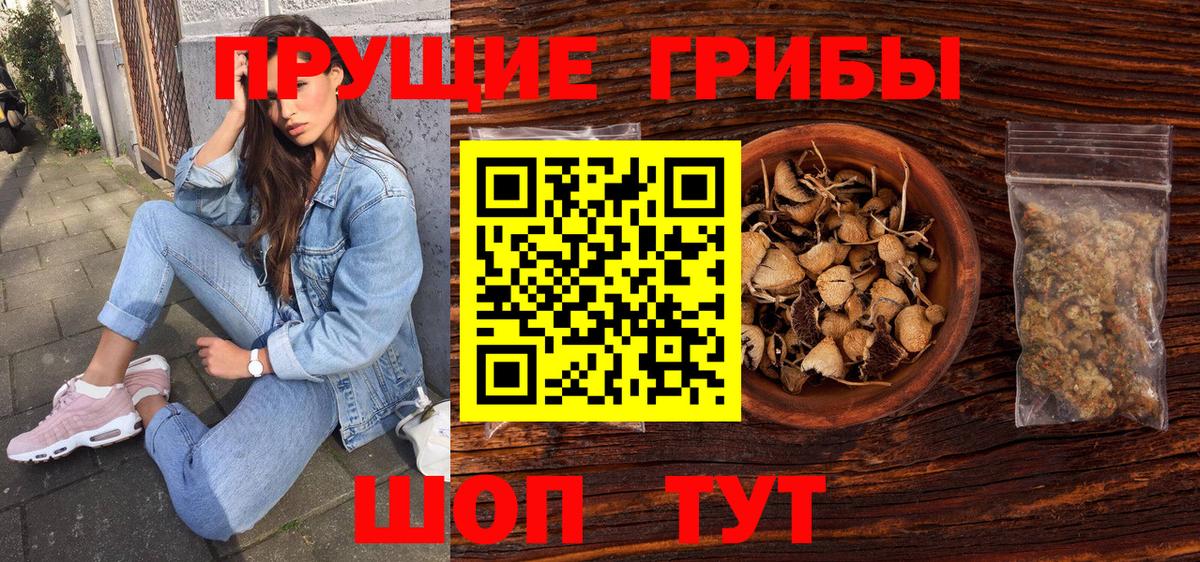 Псилоцибиновые грибы GOLDEN TEACHER Баксан