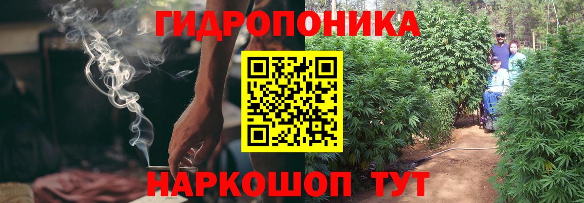 Шишки марихуана семена  Каннабис THC 21%  Баксан  Вход с VPN 